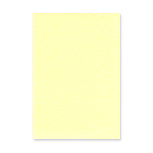 DIPLOMA PARCHMENT A/4 150 GRS REF. 9911