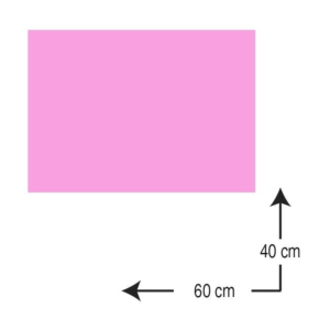 GOMA EVA CAMPUS UNIVERSITY 40 X 60 CM. 2 MM. ROSA REF. 630472