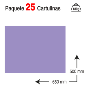 CARTULINA CAMPUS UNIVERSITY 50 X 65 CM. 180 G. VIOLETA
