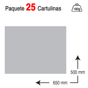 CARTULINA CAMPUS UNIVERSITY 50 X 65 CM. 180 G. GRIS CLARO