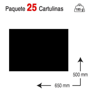 CARTULINA GUARRO IRIS 50 X 65 CM. 185 G. NEGRO REF. 40245