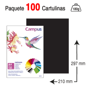 CARTULINA CAMPUS UNIVERSITY A4 180 G. NEGRA