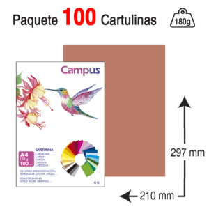 CARTULINA CAMPUS UNIVERSITY A4 180 G. MARRÓN