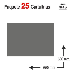 CARTULINA GUARRO IRIS 50 X 65 CM. 185 G. GRIS PLOMO REF. 40244