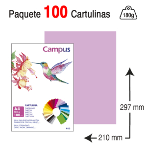 CARTULINA CAMPUS UNIVERSITY A4 180 G. LILA