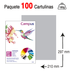 CARTULINA CAMPUS UNIVERSITY A4 180 G. GRIS CLARO