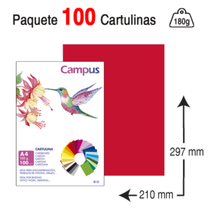CARTULINA CAMPUS UNIVERSITY A4 180 G. ROJA