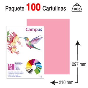 CARTULINA CAMPUS UNIVERSITY A4 180 G. ROSA