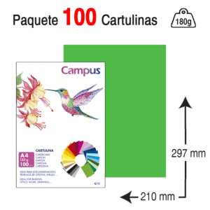 CARTULINA CAMPUS UNIVERSITY A4 180 G. VERDE BILLAR