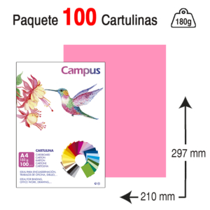 CARTULINA CAMPUS UNIVERSITY A4 180 G. ROSA CHICLE