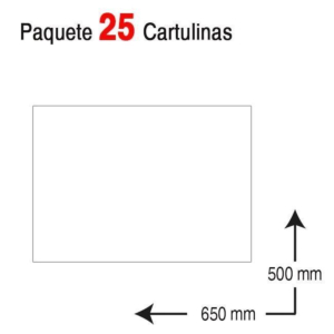 CARTULINA 50 X 65 CM. BLANCA