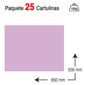 CARTULINA CAMPUS UNIVERSITY 50 X 65 CM. 180 G. LILA