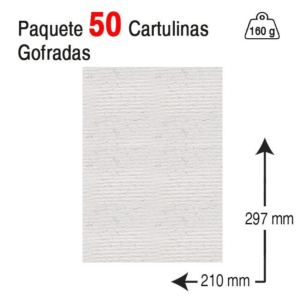 CARTULINA J. MICHEL A4 160 G. BLANCA GOFRADA REF. 6150