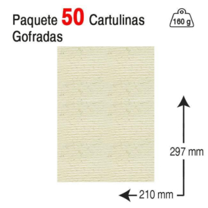 CARTULINA J. MICHEL A4 160 G. MARFIL GOFRADA REF. 6154