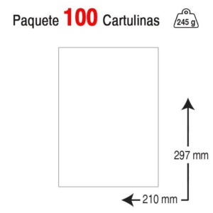 CARTULINA J. MICHEL A4 245 G. BLANCA REF. C-521