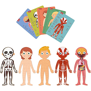 PUZLE EL CUERPO HUMANO
