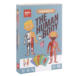 MAGNÉTICOS EL CUERPO HUMANO REF. 18531