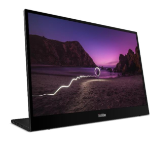 THINKVISION M16