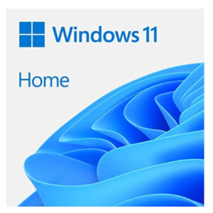 WINDOWS 11 HOME ALL ESD