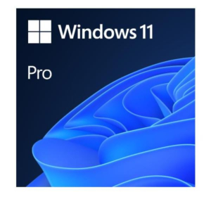 WINDOWS 11 PRO ALL ESD
