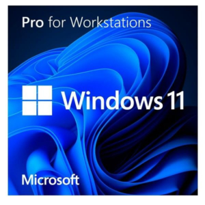 WINDOWS 11 PRO