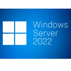 WINDOWS SVR 2022 1 DEV CAL 1Y