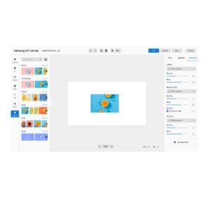 VXT 1 YEAR PRO SERVICE CMS