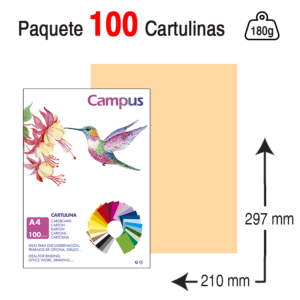 CARTULINA CAMPUS UNIVERSITY A4 180 G. CREMA-VAINILLA