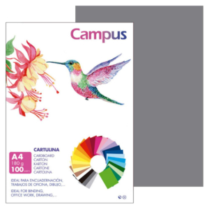 CARTULINA CAMPUS A4 180G GRIS PLOMO                                                                 