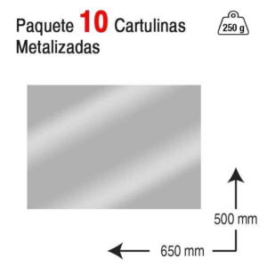 CARTULINA MAKRO PAPER 50 X 65 CM. 250 G. PLATA METALIZADO REF. 20204