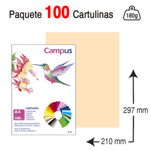CARTULINA CAMPUS UNIVERSITY A4 180 G. CREMA