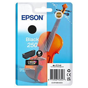 EPSON SINGLEPACK BLACK 250 INK