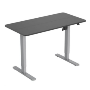 ERGOELECTRIC SITSTND DSKTOP G