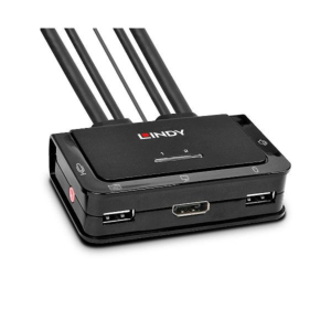 2 PORT DISPPORT 1.2, USB2.0CABLEKVM