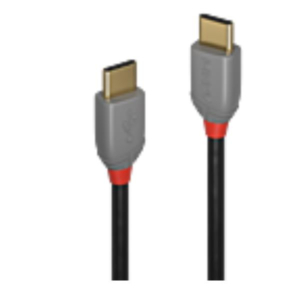 2M USB 2.0  TYPE C CABLE  ANTHRA