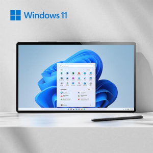 WINDOWS 11 HOME OEM ESP PKC