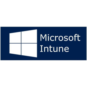MICROSOFT INTUNE EXTRA STORAGE
