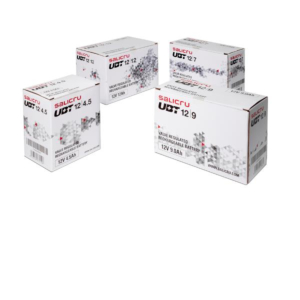 SALICRU UBT 12/9