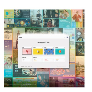 VXT 3 YEAR PRO SERVICE CMS